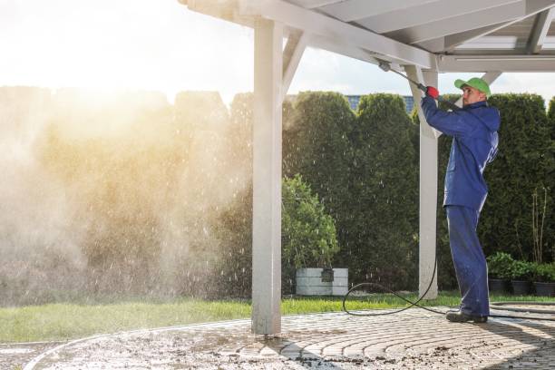 Best Driveway Cleaning and Restoration in Andover, MN