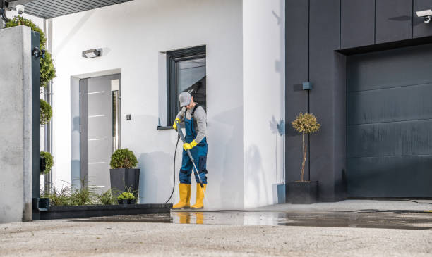Best Roof Cleaning and Mildew Removal in Andover, MN